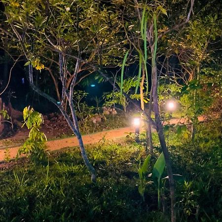 Sigiri Starwing Villa Sigiriya Buitenkant foto