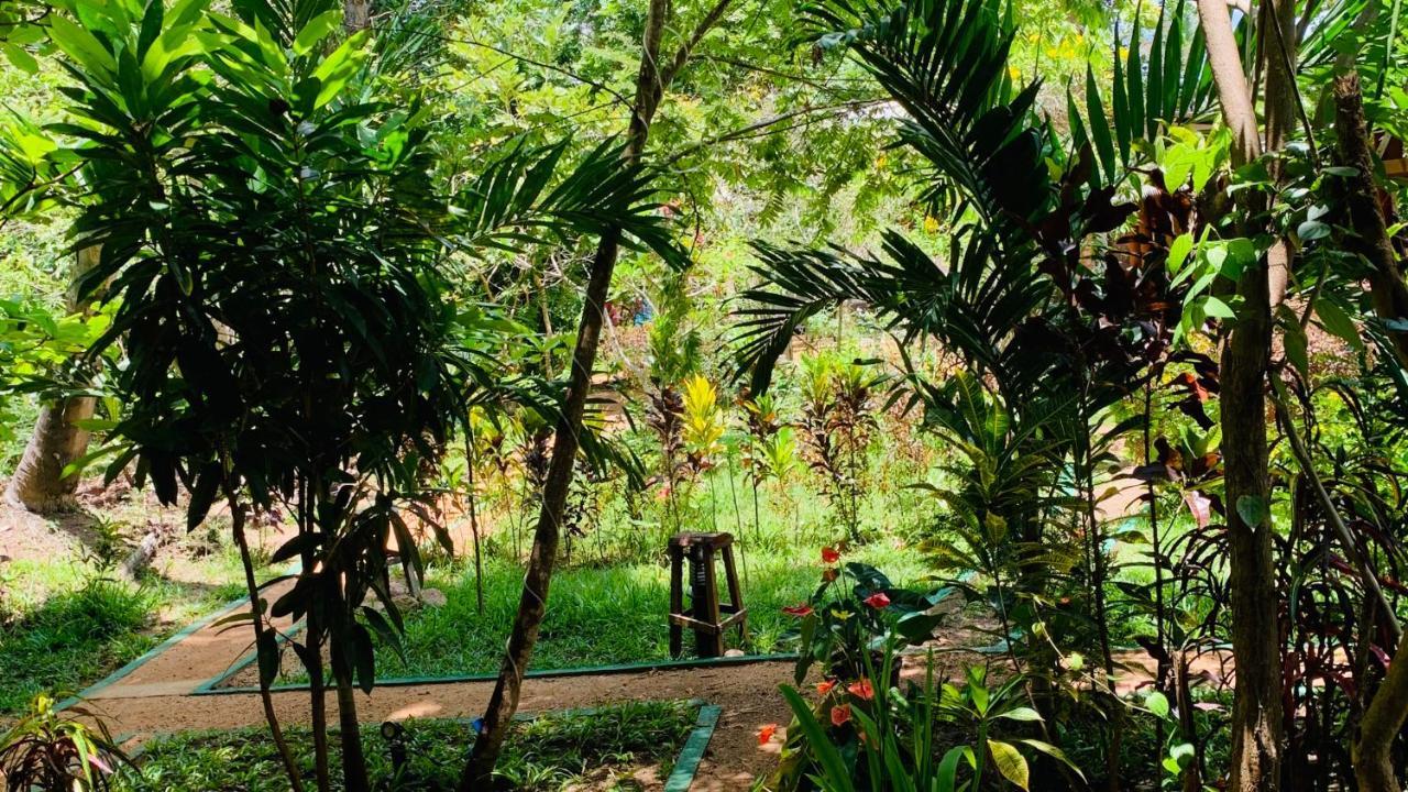 Sigiri Starwing Villa Sigiriya Buitenkant foto