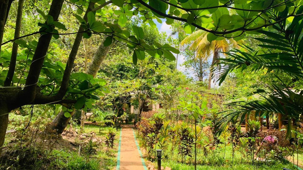 Sigiri Starwing Villa Sigiriya Buitenkant foto