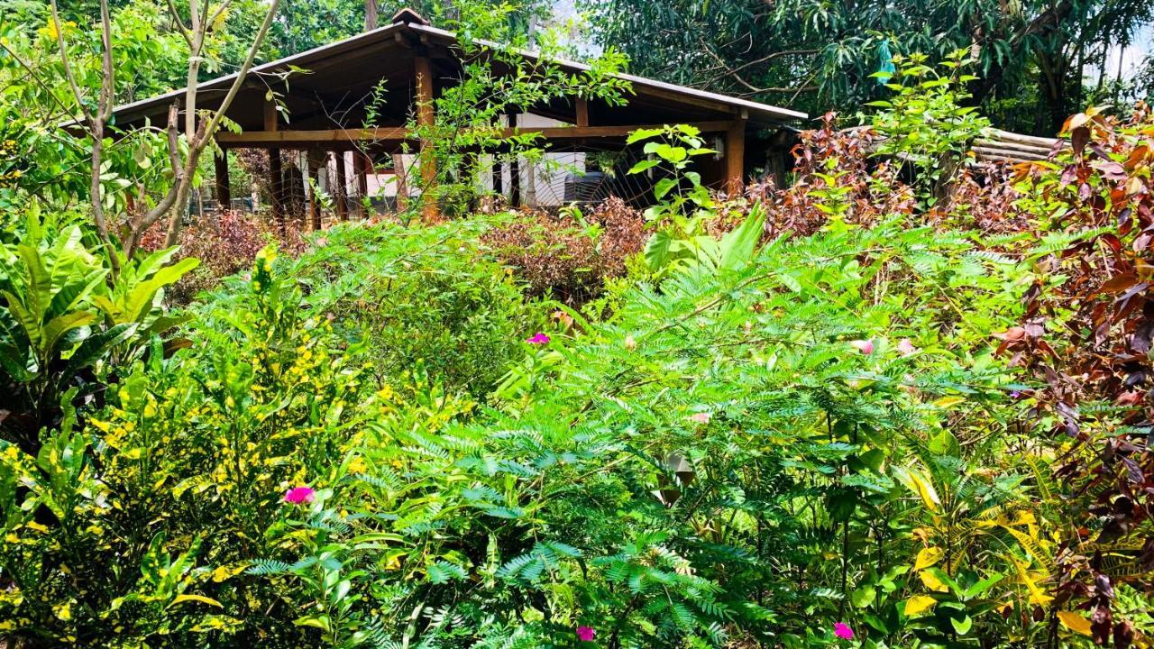 Sigiri Starwing Villa Sigiriya Buitenkant foto