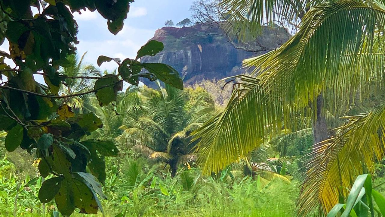 Sigiri Starwing Villa Sigiriya Buitenkant foto