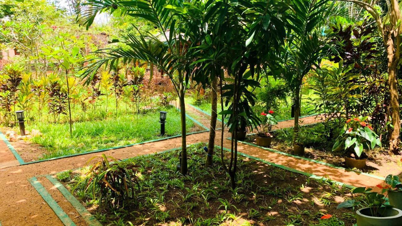 Sigiri Starwing Villa Sigiriya Buitenkant foto